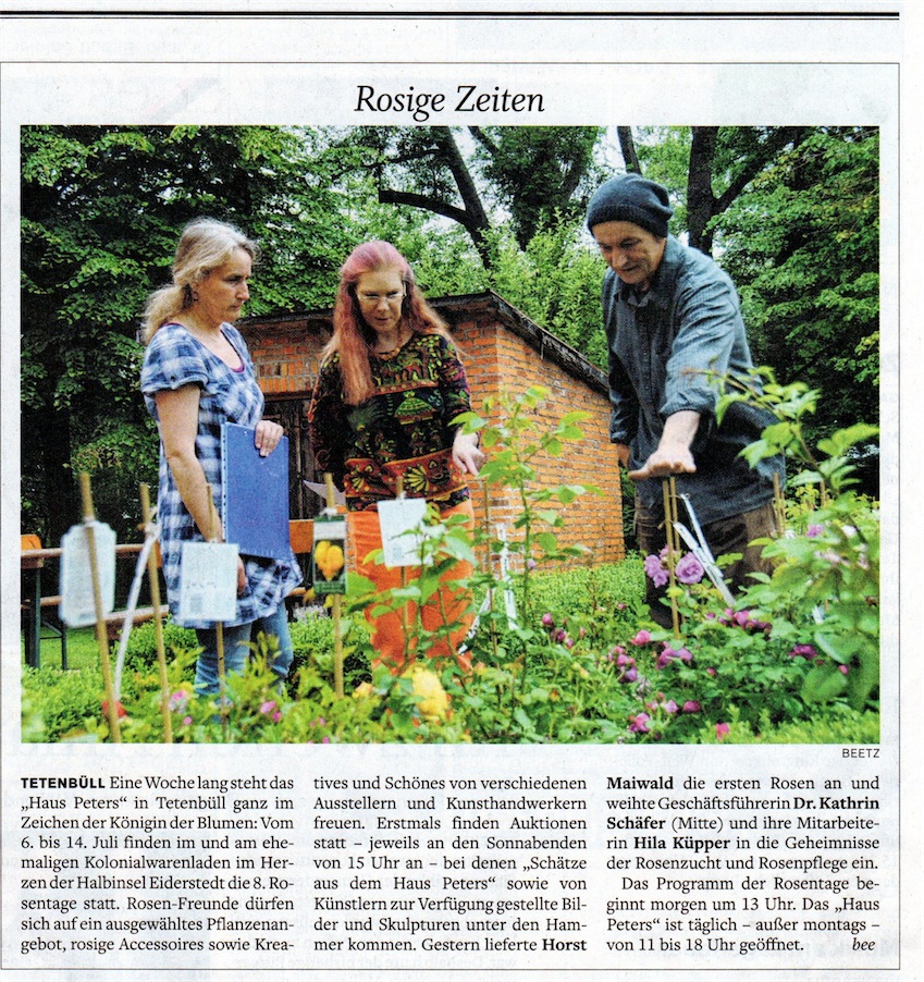Rosen Maiwald, Rosentage, Haus Peters; Husumer Nachrichten 5.7.2013