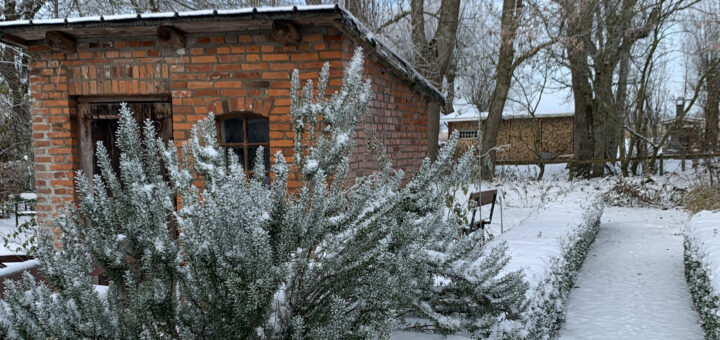 winter garten