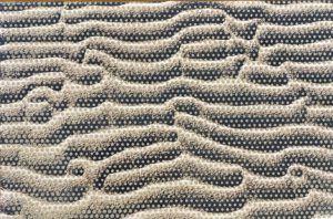 Frauke Petersen, 5015, Sand und Fotografie